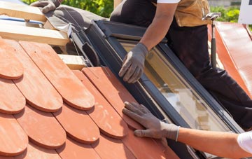 replacement Nimlet roof windows
