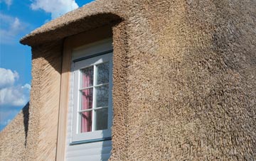 Nimlet thatch roof disadvantages